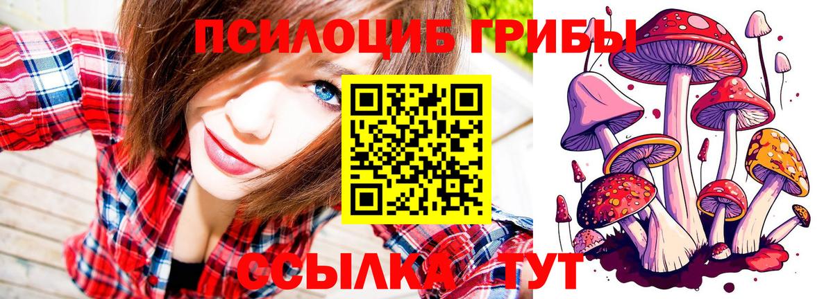 Галлюциногенные грибы Psilocybine cubensis  Галлюциногенные грибы Cubensis  Вход с VPN  Каменск-Шахтинский 